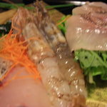 炭平 - 白エビ・平目