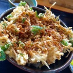 道の駅 ビオスおおがた ひなたや食堂 - しらすかき揚げ丼