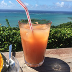 【グァバジュース】（単品４２０円税込）南国のトロピカル風味？がするドリンク。