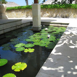 Amankila - フロントにある蓮池