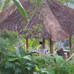 Amankila - 
      アマンキラの運転手が籠を担いで行き東屋での朝食を準備