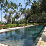 Amankila - 椰子の木に囲まれた42mの大きなビーチプール。ここもまた緑のタイルが美しい