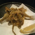 旬の魚と旨い地鶏 魚鶏屋 - 目光の唐揚げ