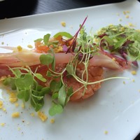THE COSMOPOLITAN GRILL BAR TERRACE - サーモンマリネのタルタル
