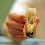 寿司栄 - 翡翠色をした内子を蓄えた富山エビ