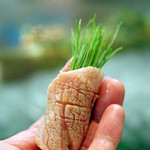 寿司栄 - 【にぎり】芽ネギをくるんだかましたのトロ、トロは軽く炙って...