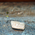 寿司栄 - ［つまみ］鮃のエンガワ