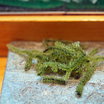 寿司栄 - ［つまみ］海ぶどう