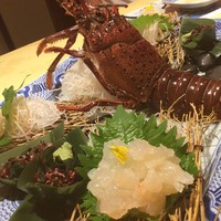 中納言 大阪駅前第3ビル店 - 伊勢海老の活造り  足が動いてる( °o°)