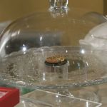 おだいどこ ブルーキャット - 友人が送ってくれたキッシュのミニチュア