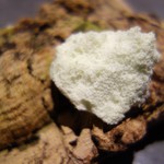 フロリレージュ - 