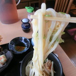 餐粉の励 - うどんだけでもかなりのボリューム!!!!　これだけでもコシが強いから噛む回数多くてお腹に溜まるんだ。