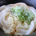 餐粉の励 - このうどんが『美しい』色艶だ!!!!