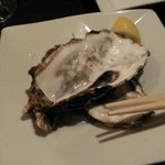 OYSTER BAR 酒肆石花 - 