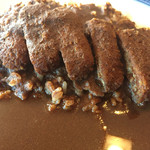 辛口カレーの嵯峨 - カツアップ！