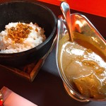 Nihonkarekenkyujo - 豚煮込み鉄焼カレー