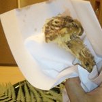 緒方 - 松茸てんぷら紙に包んでがぶりと。