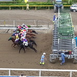 水沢競馬場 クラブハウス - テラスから撮影