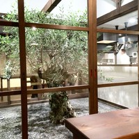 SHOKUDO YArn - 樹齢200年のオリーブの樹
