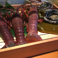 喜扇亭 名古屋ミッドランドスクエア店 - 