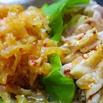 めだかタンタン - バンバンジー＋クラゲのアップ