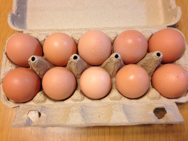 あばしりピースたまご - 北見市その他（その他）