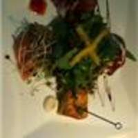 IL PINOLO 梅田 - 