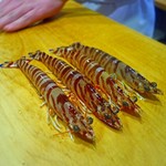 鮨 土方 - 【2016.6】生きてます～