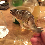 出雲 - 【再訪④】2016/07/09（土）dinner