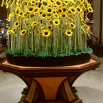 ラ ブラスリー - 