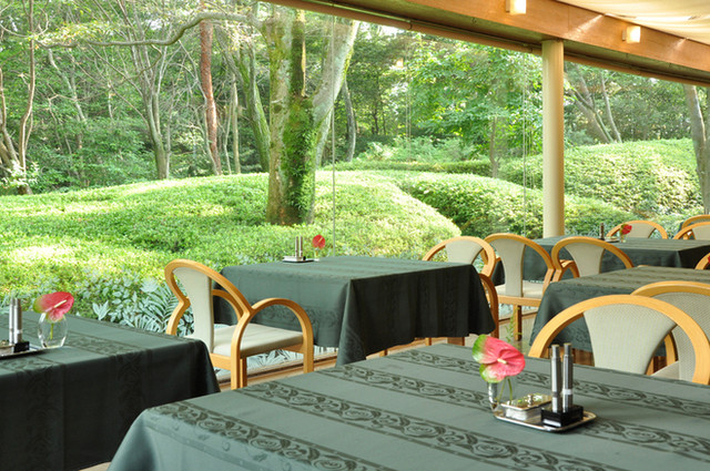 Ai Island Van Ever photo 4