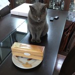 Okashi no Ie Kamakura Ogawa Ken Totsuka Ten - バームシュニッテンと伝次郎（甘いものが大好き）