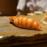 鮨 さいとう - 車海老