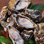 きのした - 新メニュー！近日スタート予定！！