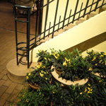 リストランテASO - おすすめなんです