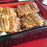 菊乃家 - うな重(上)。川沿の部屋も居心地よしでした。