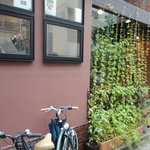 カンブーザ - こんな感じ