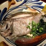 旬菜処 びいどろ - 旬菜処びいどろ(アイゴのマース煮)※魚は持ち込み