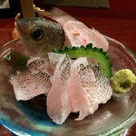 旬菜処 びいどろ - 旬菜処びいどろ(ビタロー刺身)※魚は持ち込み