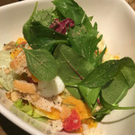 ワイン食堂ペコリーノ - ペコリーノサラダハーフ500円