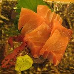 晴る家 - その日のおすすめ：マグロのぶつ
