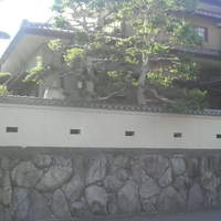 僧伽小野 一秀庵 - 横から
