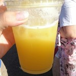 KCC Saturday Farmers' Market - 