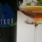 レフェルヴェソンス - 28年7月 RADIKON oslavje