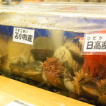 郷土料理 おが - 