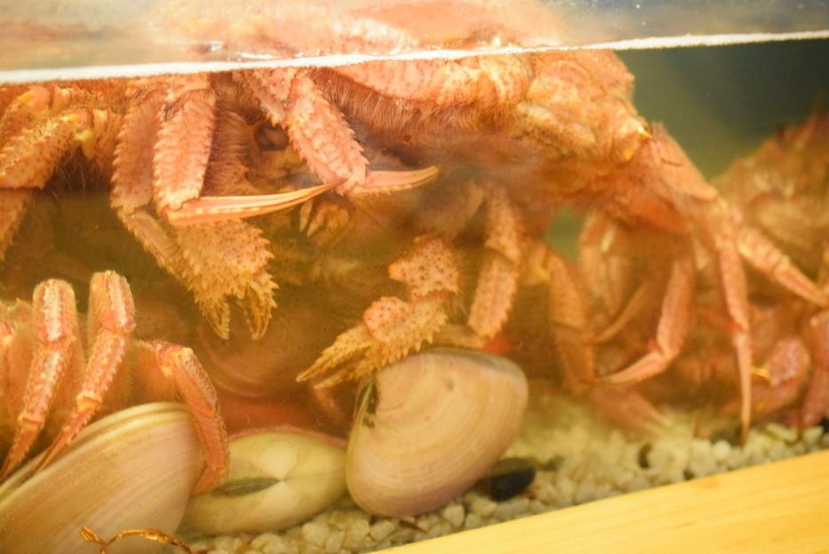 郷土料理 おが