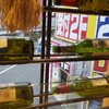 ポタ パスタ 渋谷道玄坂店