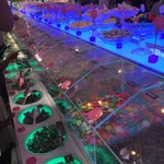 トッティ キャンディ ファクトリー - 