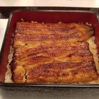 鰻割烹 伊豆栄 本店 - 