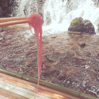 ひろ文 - 